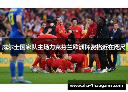 威尔士国家队主场力克芬兰欧洲杯资格近在咫尺