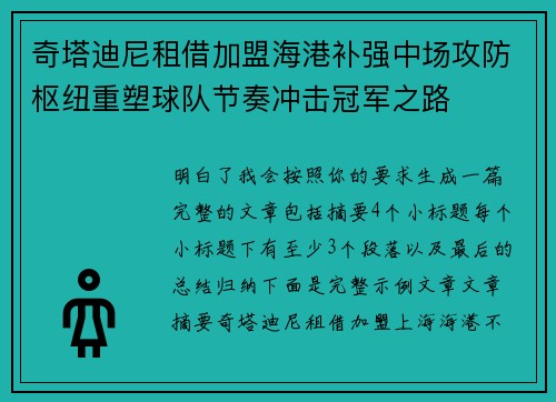 奇塔迪尼租借加盟海港补强中场攻防枢纽重塑球队节奏冲击冠军之路
